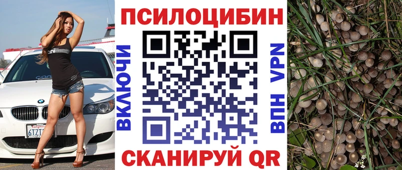 Псилоцибиновые грибы мицелий  Осинники 